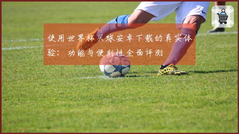 使用世界杯买球安卓下载的真实体验：功能与便利性全面评测